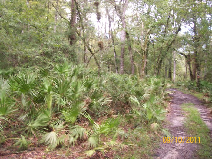 2011-Sep-10_HGR4X4_RichloamBB 047